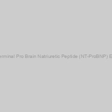 Image of Rat N-Terminal Pro Brain Natriuretic Peptide (NT-ProBNP) ELISA Kit